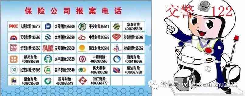 '发生车辆事故后多久内必须向保险公司报案'