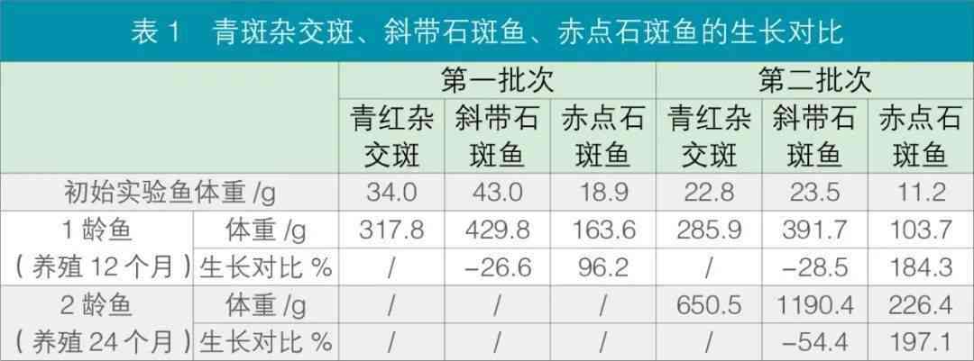 鱼体长度AI测量实验报告：结果与总结