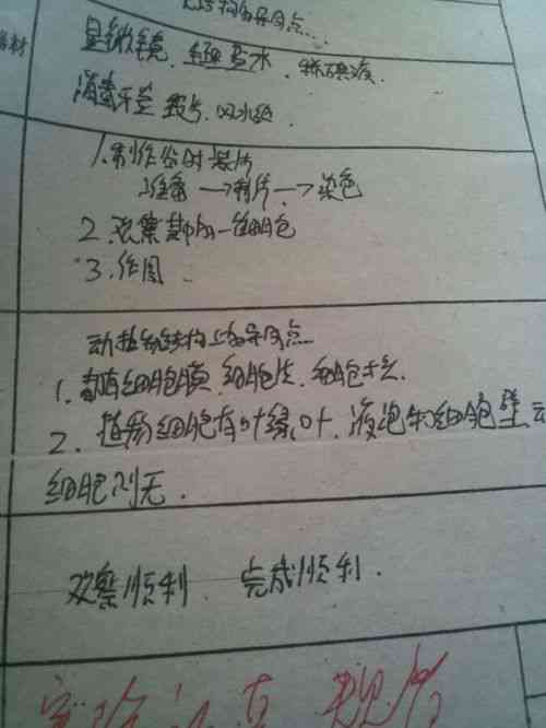 鱼体长度AI测量实验报告：结果与总结
