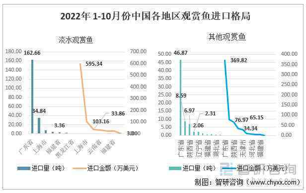 全面解析鱼类体型测量与详细描述实验研究报告：涵方法、步骤与数据分析