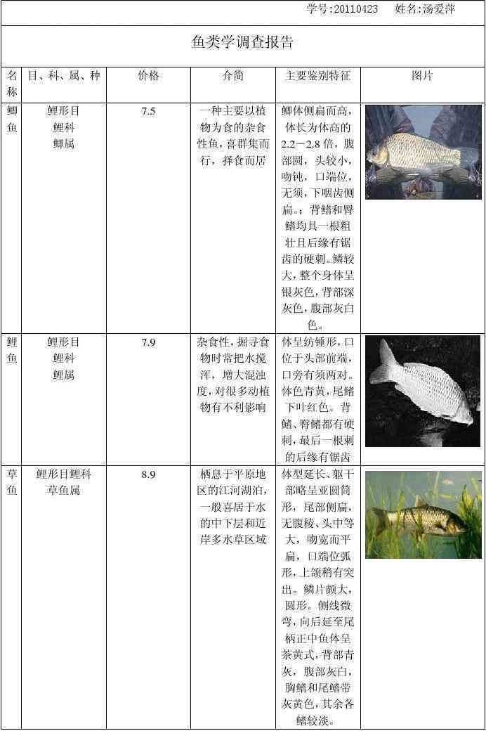 鱼体长度ai测量实验报告