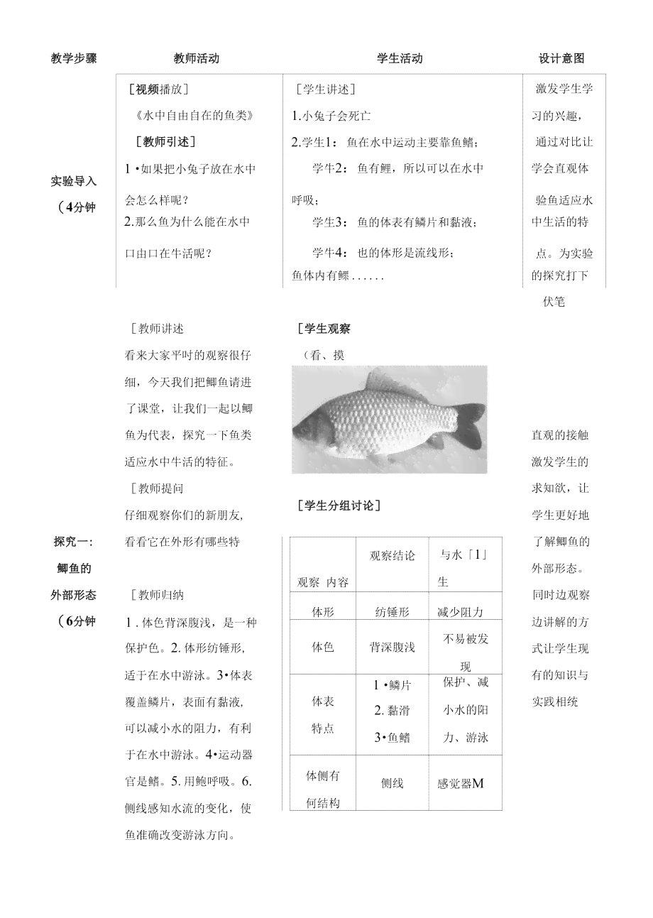 鱼体长度ai测量实验报告