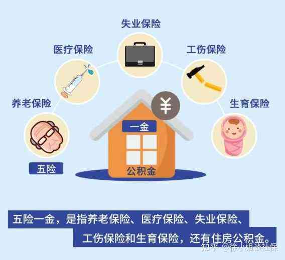 未缴纳社保情况下的工伤等级认定指南及应对策略