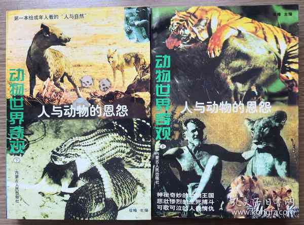 《奇幻蜕变：动物与人情的甜蜜交织》