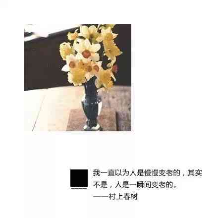 融入智慧的禅意：AI小和经典语录文案创作指南