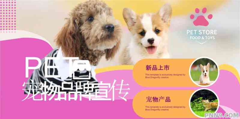 AI宠物文案全能解决方案：打造吸睛内容，提升宠物影响力