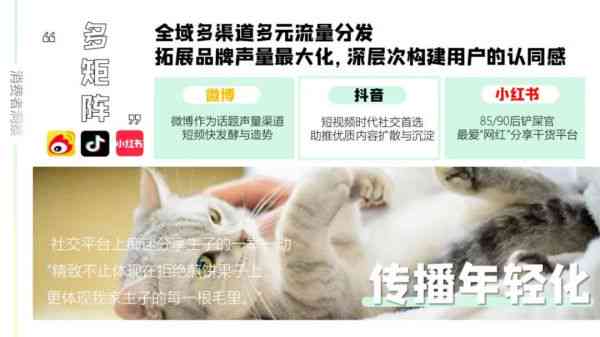 AI宠物文案全能解决方案：打造吸睛内容，提升宠物影响力