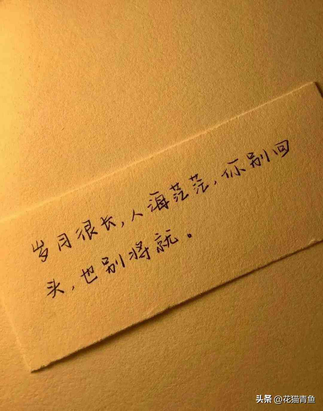 赞美爱情文案：短句 简短句子 说说，全面表达爱情之美