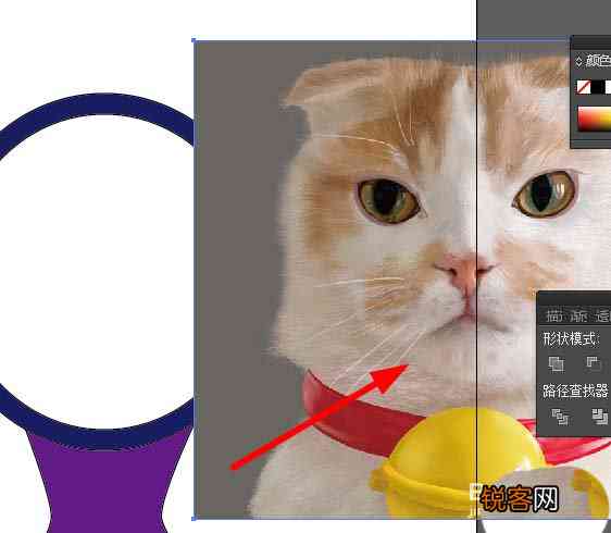 猫AI变脸教程：从操作入门到高级技巧，一键及使用指南