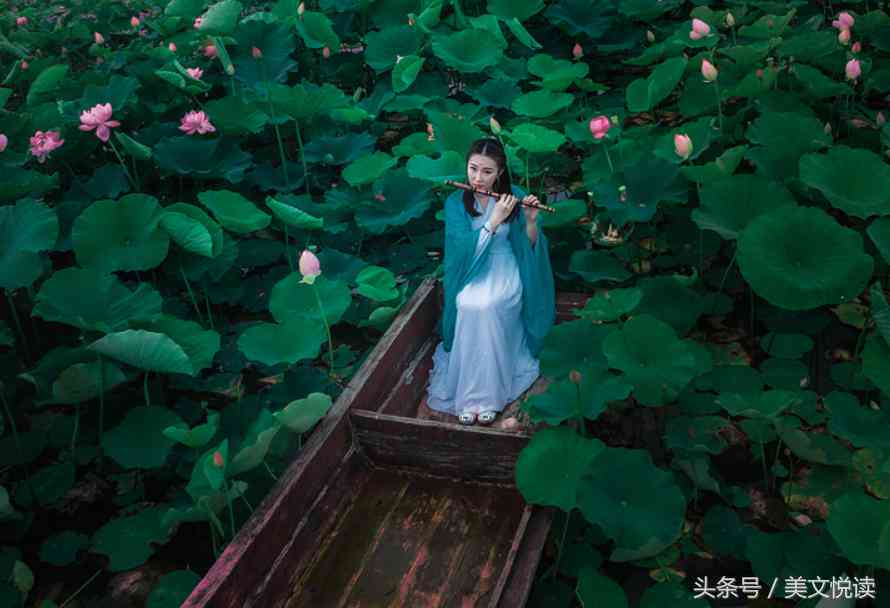禅意生活：小和心灵絮语与文案灵感集