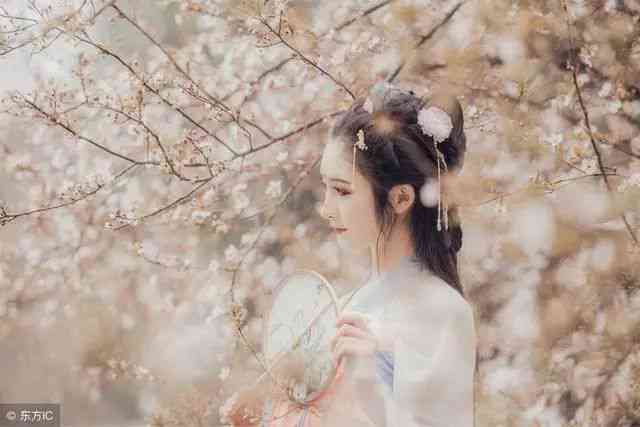 精选古风美女文艺短句：清新脱俗、意境悠远，全面满足文艺爱好者搜索需求