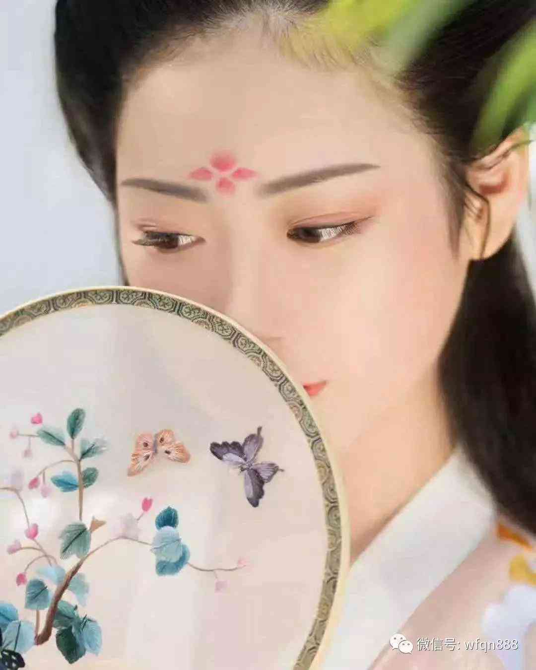 古典美学精华：全方位解析古典美女文案与传统文化内涵