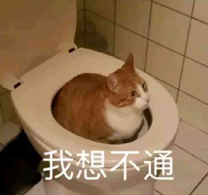 全面收录：甜蜜沙雕文案，教你如何幽默地表达对男朋友的爱意