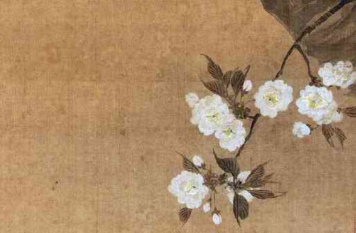 簪花名字：起名、名称、寓意、种类及来历解析