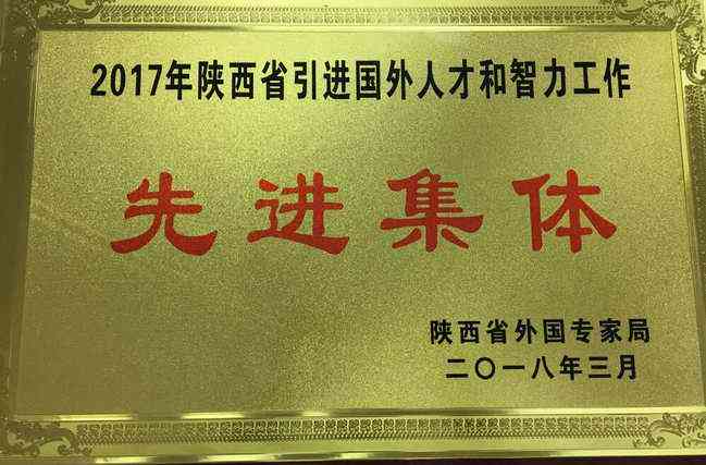 探索四人群体的协作秘诀：全面解析团队沟通与高效协作策略