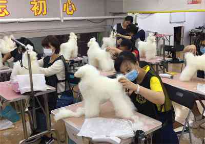 关于爱学校的文案：经典短句与简短句子集锦