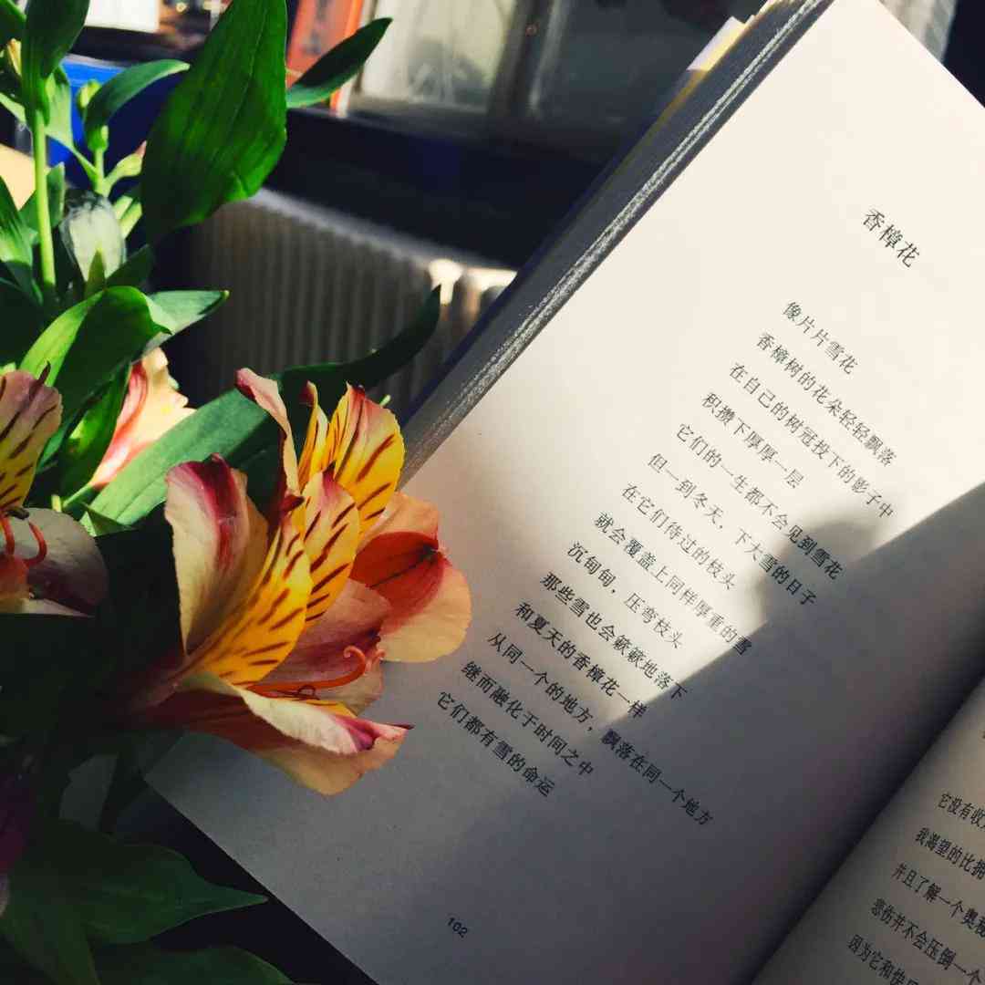 关于爱学校的文案：经典短句与简短句子集锦