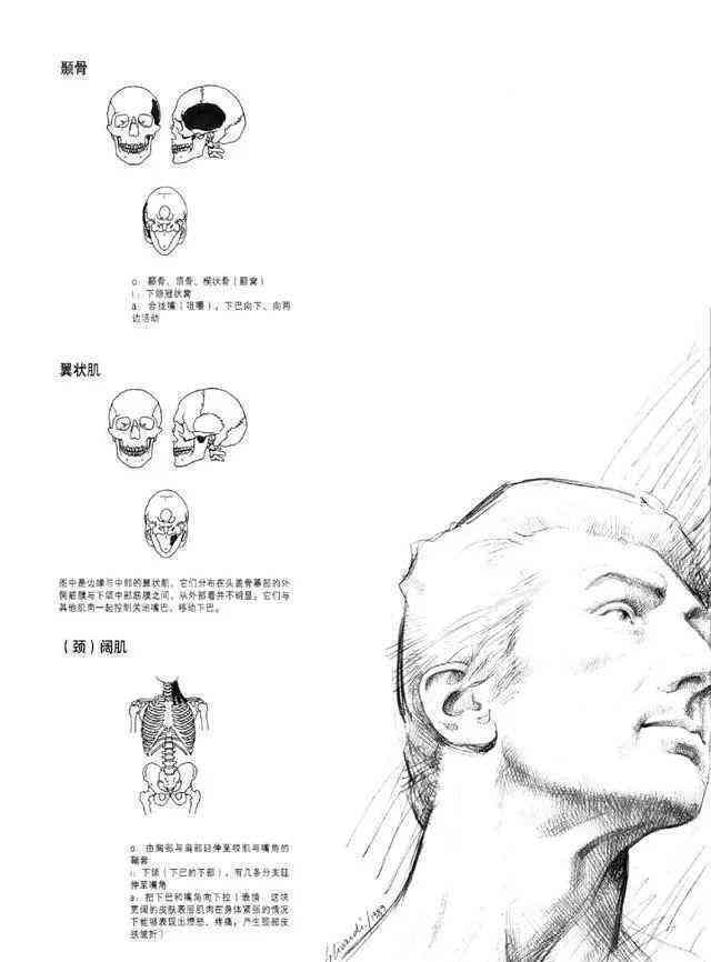 全方位AI头像生成指南：从基础操作到高级技巧，一网打尽头像制作相关问题