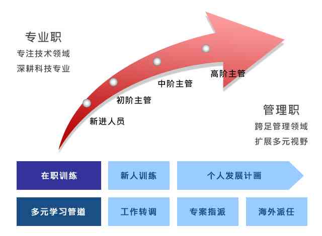 深入了解助手：职责、技能要求与发展路径全解析