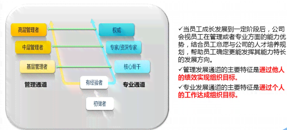 深入了解助手：职责、技能要求与发展路径全解析