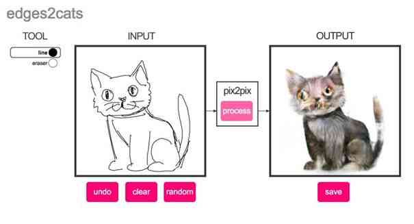 探索AI绘画猫：从技术原理到创意应用，全面解答用户疑问