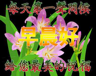早安海报：一键生成文案 纯色背景模板