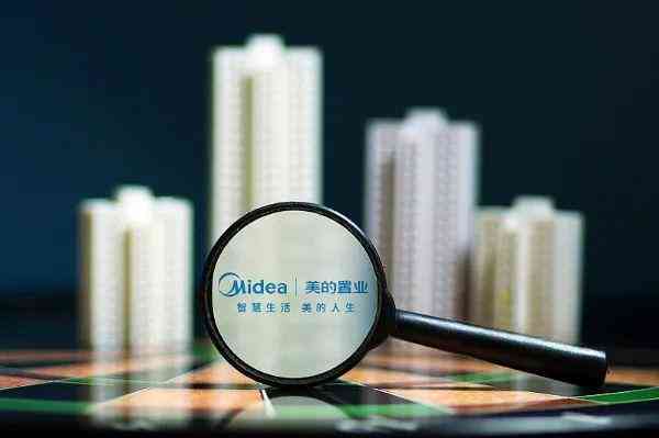 IE浏览器全面指南：从安装、设置到高级使用技巧一站式掌握