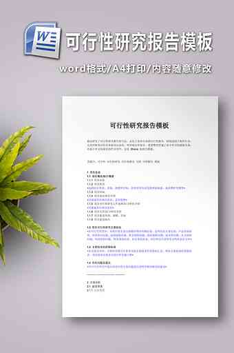 可行性报告免费：模板及内容详解与全文指南