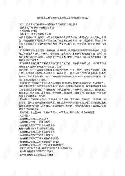 '项目可行性研究报告在线平台'