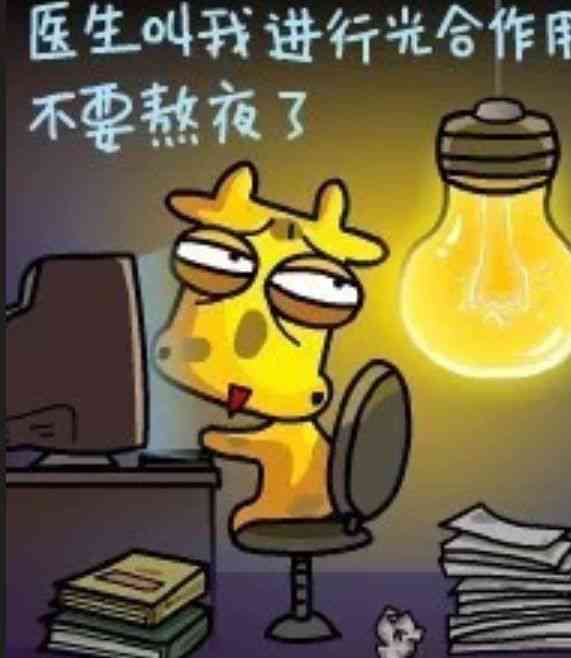 全方位动漫幽默文案攻略：让你笑不停的搞笑语句大     