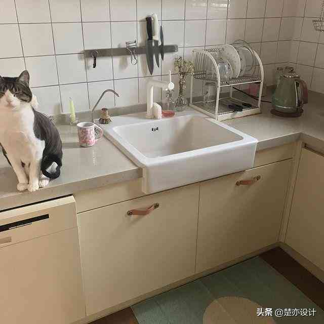 揭秘写作猫平台：是否需要付费使用其写作服务