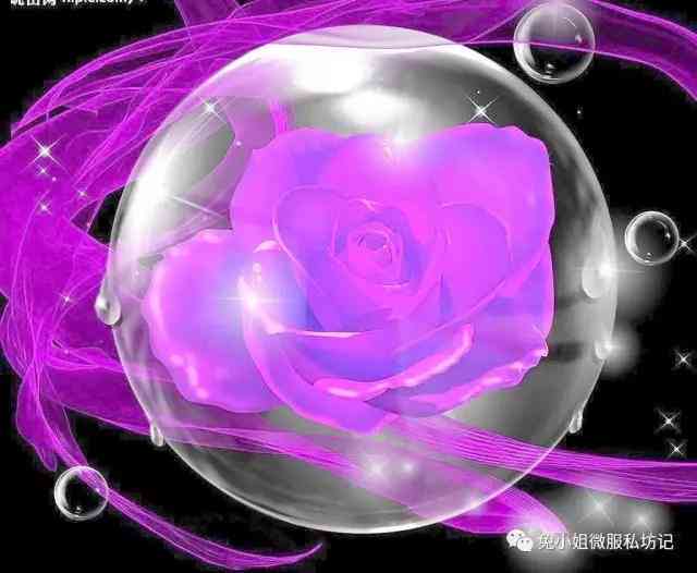 梦幻水晶玫瑰之寓意