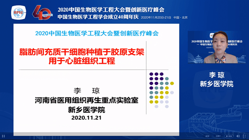 AI14小鼠模型：探索智能生物技术在医学研究中的应用