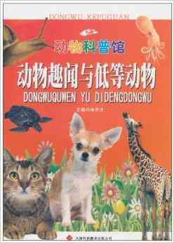 《运用创意关键词，打造萌趣AI动物文案魅力》