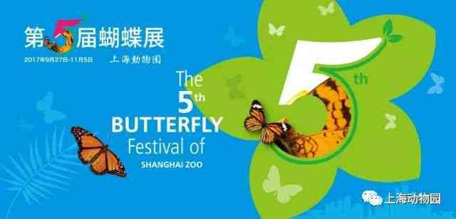 《运用创意关键词，打造萌趣AI动物文案魅力》