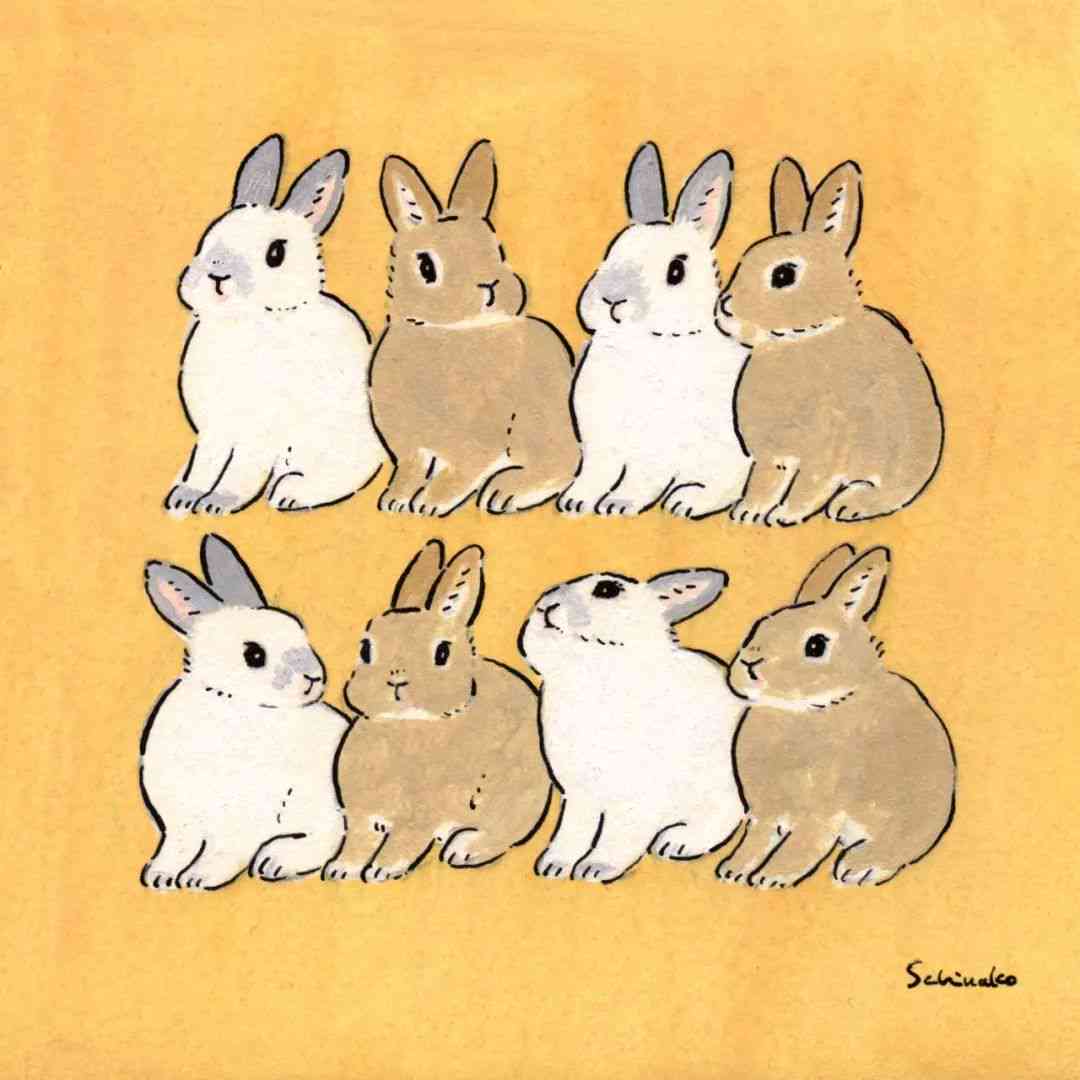 可爱ai动物文案怎么写