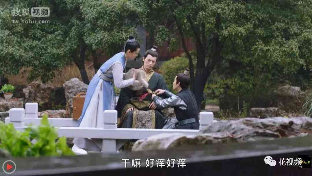 全面攻略：热门萌猫AI绘画文案素材与创作灵感一站式搜集