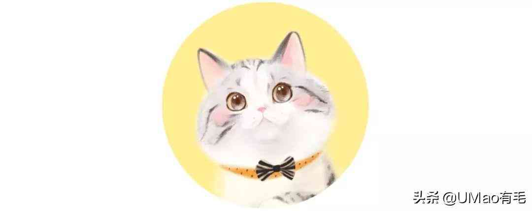 萌猫AI绘画文案大全：简单精选集