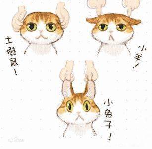 萌猫AI绘画文案大全：简单精选集