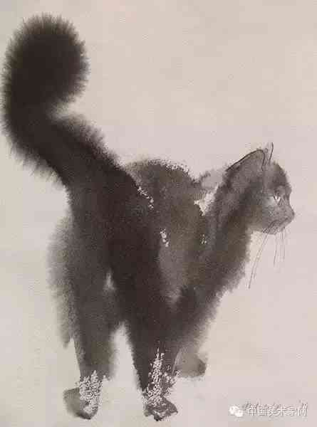 猫咪绘画灵感集：如何描绘猫儿的魅力瞬间