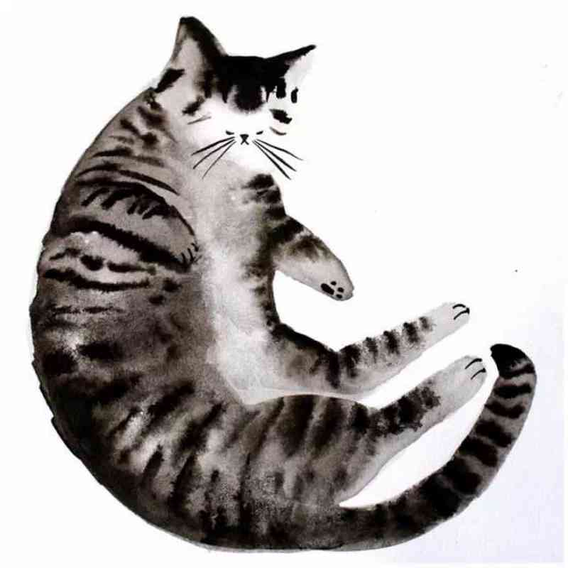 创意猫咪绘画：探索萌猫的艺术天赋与绘画教程