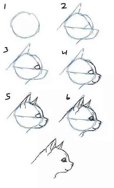 萌猫画法：简单易懂的绘制教程