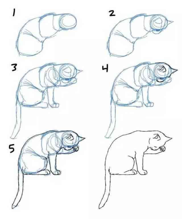萌猫画法：简单易懂的绘制教程