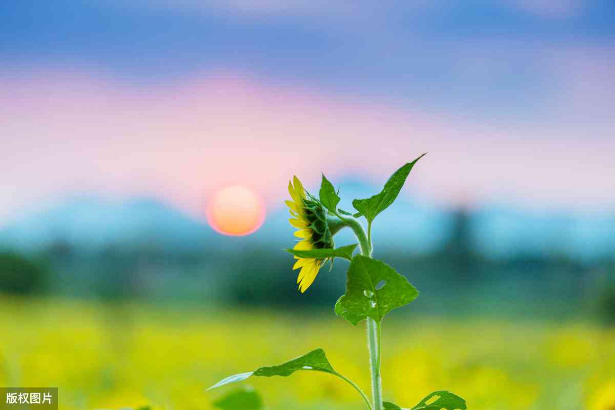 AI辅助写作：全面揭秘利用智能软件高效赚钱的作文攻略