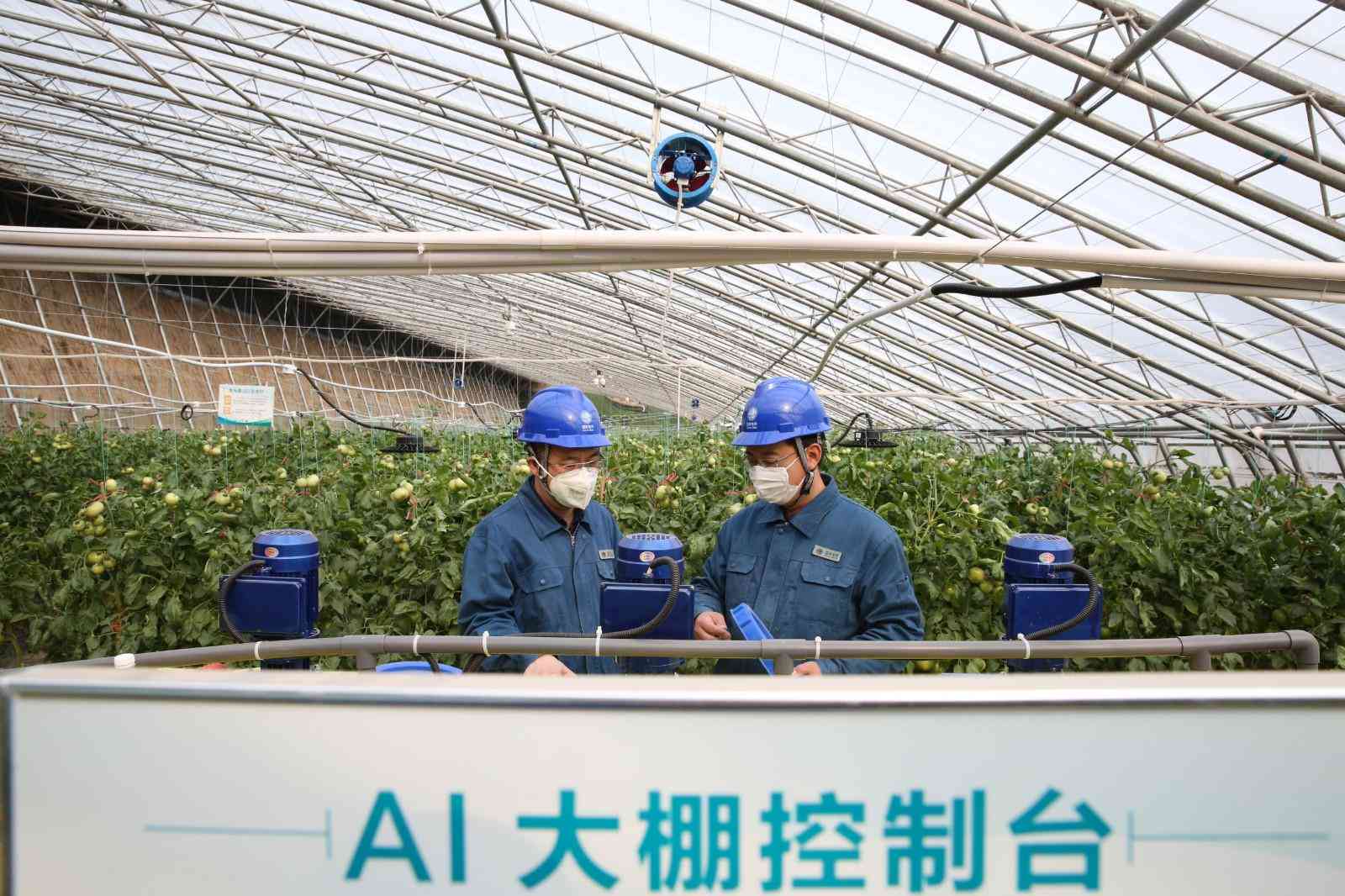 ai技术员职位的工作内容详述及其撰写方法