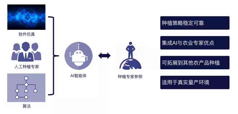AI技术在西瓜种植、挑选、存全流程中的应用与优化