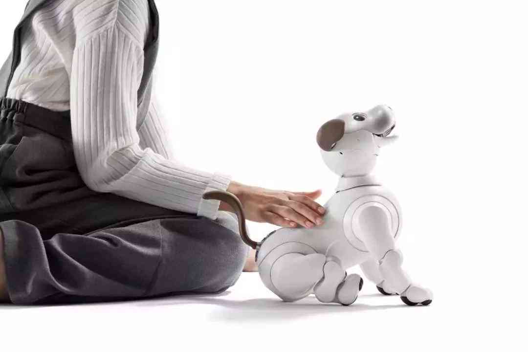 索尼ai叫什么：索尼aIII、AIAP、AIPHA及aibo宠物机器人全解析