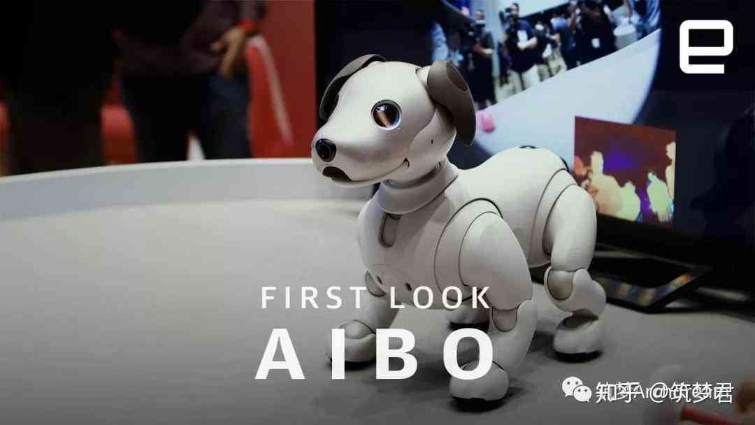 索尼ai叫什么：索尼aIII、AIAP、AIPHA及aibo宠物机器人全解析