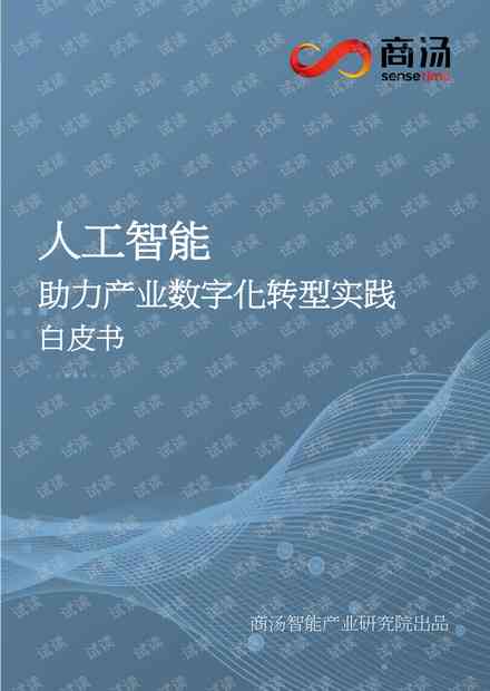 《人工智能探索之旅：我的实践心得与感悟》